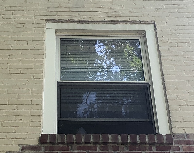 Double Hung window replacement